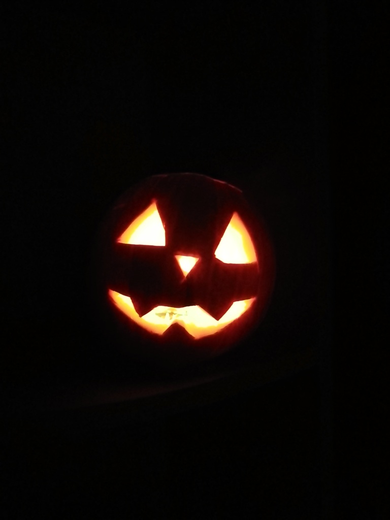 Тыква halloween (искусственная/натуральная) — фото 6