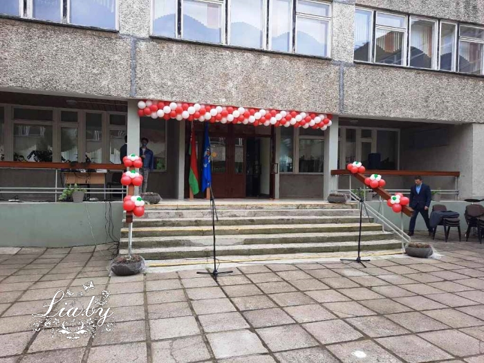Шаровое оформление апрель-май 2020: гимназия, магазины, офис — фото 7
