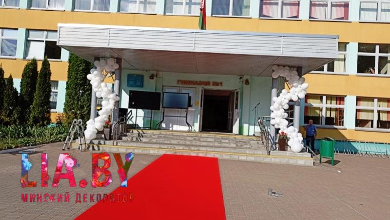 Шары на выпускной в школе — фото 5