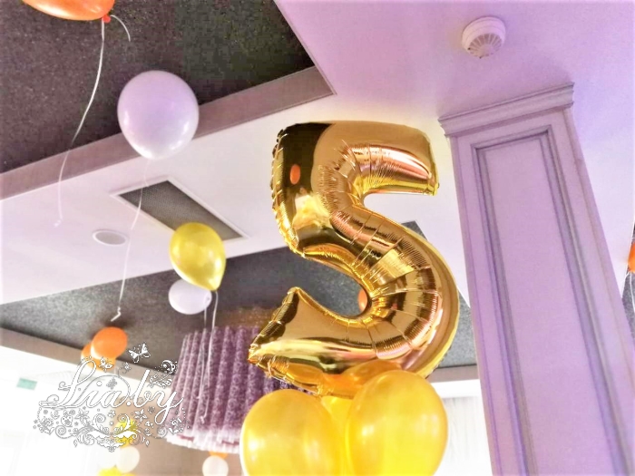 Украшение банкетного зала в Robinson Club на детский юбилей 5 лет — фото 1