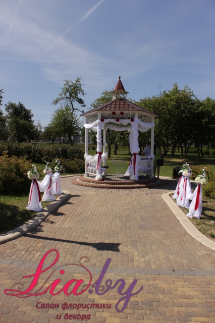 Выездная роспись в беседке Лошицкого парка (Минск) — фото 4