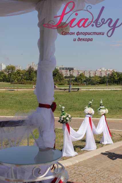 Выездная роспись в беседке Лошицкого парка (Минск) — фото 7