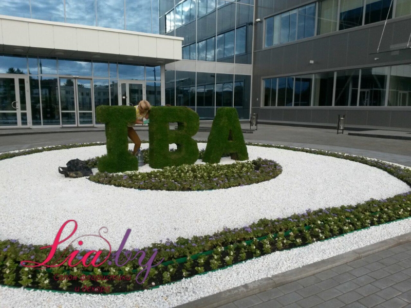 Живой логотип IBA  и композиции из цветов на открытие нового офиса — фото 2