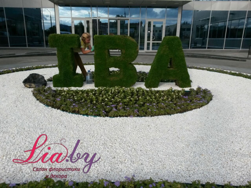 Живой логотип IBA  и композиции из цветов на открытие нового офиса — фото 7