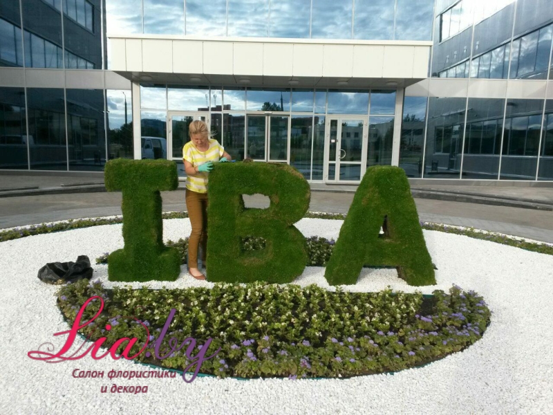 Живой логотип IBA  и композиции из цветов на открытие нового офиса — фото 8