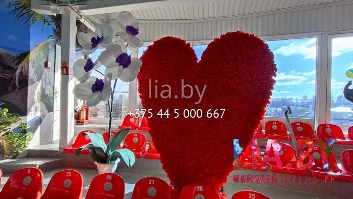 Гигантское сердце и цифра 8 в Дельфинарии