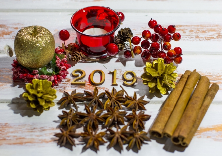 Как привлечь удачу в новом году: советы по украшению дома на Новый 2019 год по правилам фен-шуй