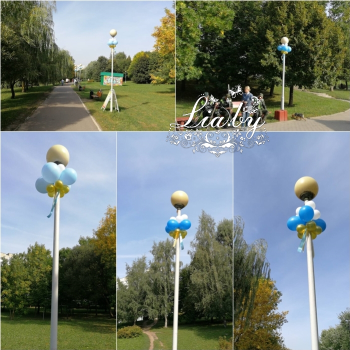 Цилиндры с гидрогелем и флористикой на выставку и украшение парка на день города