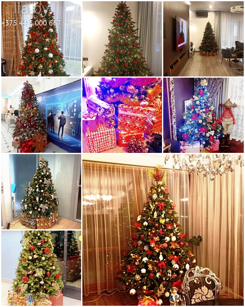 Новогодние елочки-красавицы