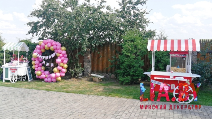 Украшение банкета и фотозоны во дворе усадьбы Дубки на крестины девочки (оформление в розовом цвете, кэнди бар)