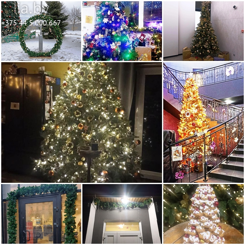 подсветка елей и ручные пряничные ели