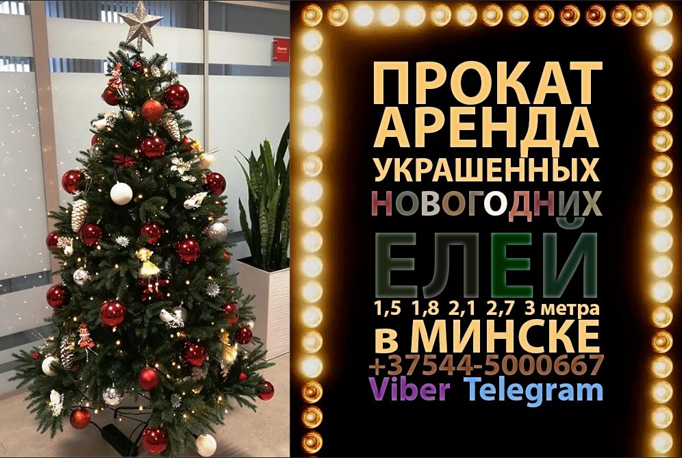 прокат елей и продажа украшенных елей на новый год Минск