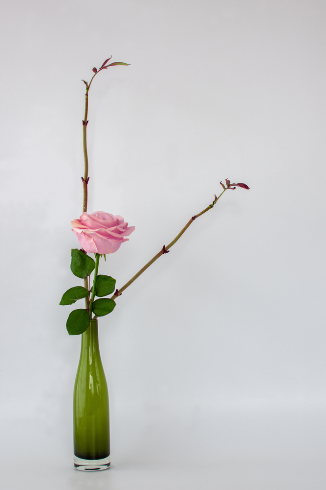 Флористы и флористика: Икебана: философия в цветах - Redlily