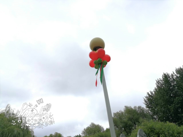 Украшение шарами столба в парке им. Павлова на день независимости