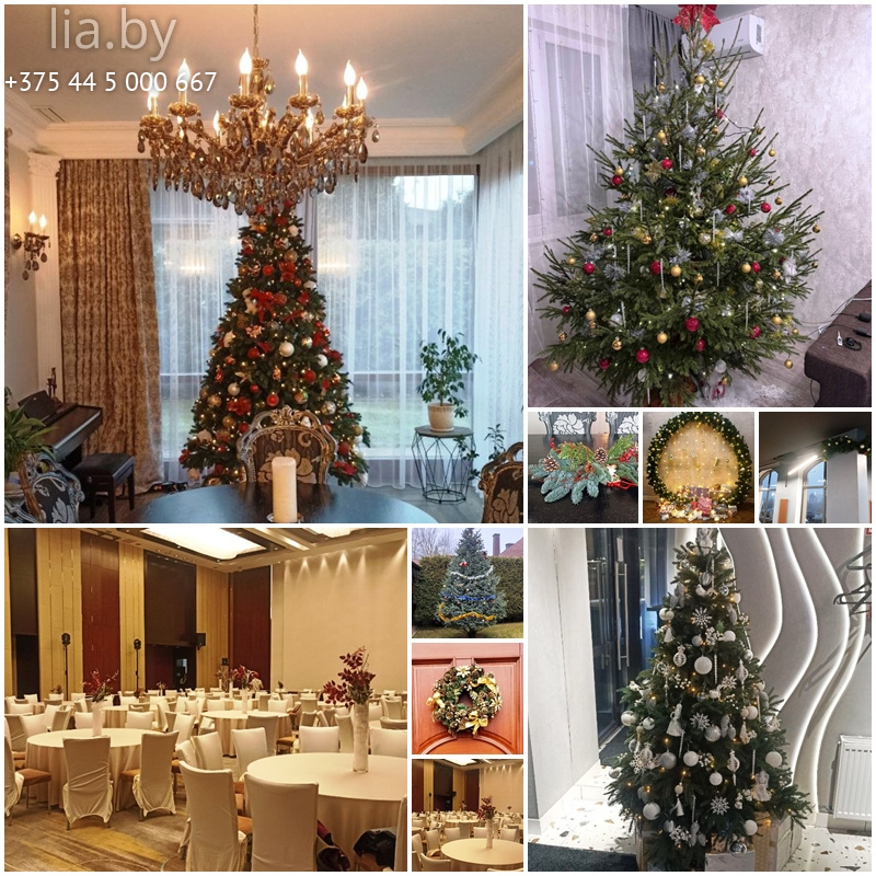 новогодние ели