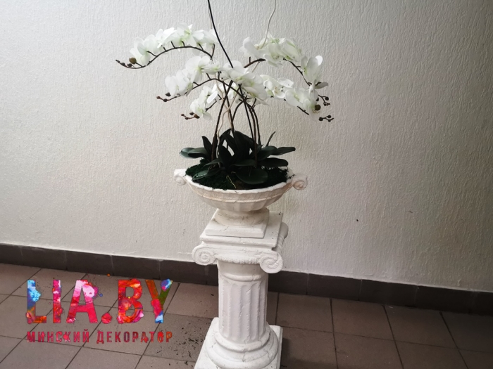 цветочные композиции с белыми орхидеями в вазонах для украшения ювелирного магазина 7 карат