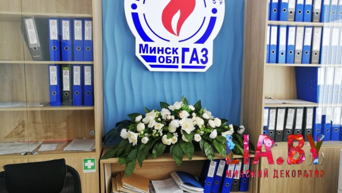 Белые композиции с орхидеями в зал ожидания и пышные консольные в службу Одно окно Белые композиции с орхидеями в зал ожидания и пышные консольные в службу Одно окно
