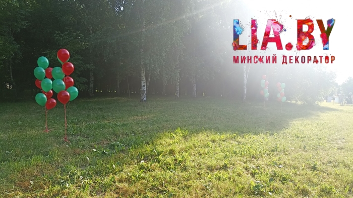 Украшение связками из шаров выступления артистов на поляне в парке к 3 июля
