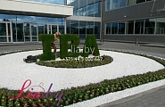 Живой логотип IBA из мха, буквы из мха на заказ в Минске +375445000667