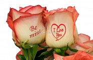 Говорящие цветы, розы с надписями, как вариант с наклейкой, можно логотип компании