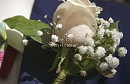 Бутоньерка для жениха белая роза