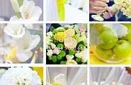 Яблочная свадьба, зеленые мягкие тона красиво сочетаются с белым цветом. На тарелки каждому гостю вместо бонбоньерки вполне подходит красивое ароматное яблоко