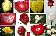 Пример цветов с надписями и каринками, фотографии взяты в интернете методом поиска в системах Яндекс и Гугл