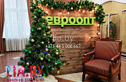 Фотозона для магазина "Евроопт". В новогодней тематике с ёлкой и креслом